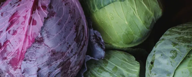 Cabbages