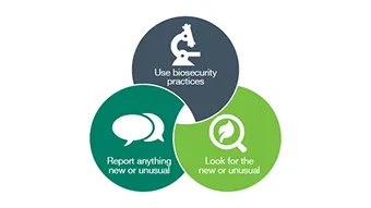 New pest reporting and responses course for researchers