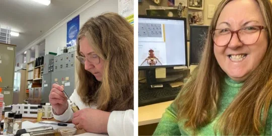 Career profile | Nancy Cunningham
