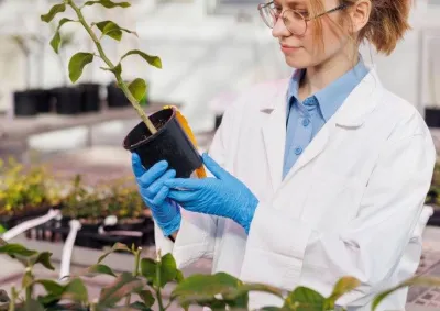 Plant scientist examining plant at Mickleham
