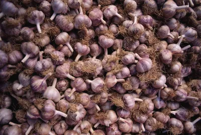 Cloves of garlic