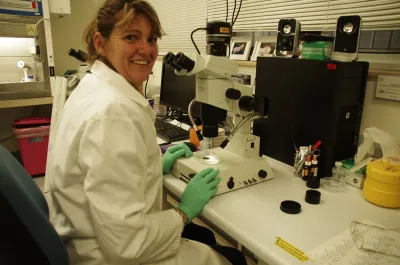 Career Profile | Karen Kirkby